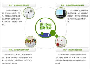 专业发泡剂配方技术开发 | 禾川化学工程师团队助力解决发泡效能与成本优化难题